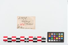 Etiketten zu Bronzering (NHMW-PRAE-025072)